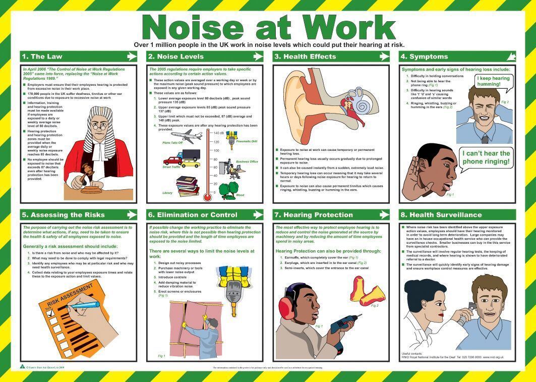 Noise at Work