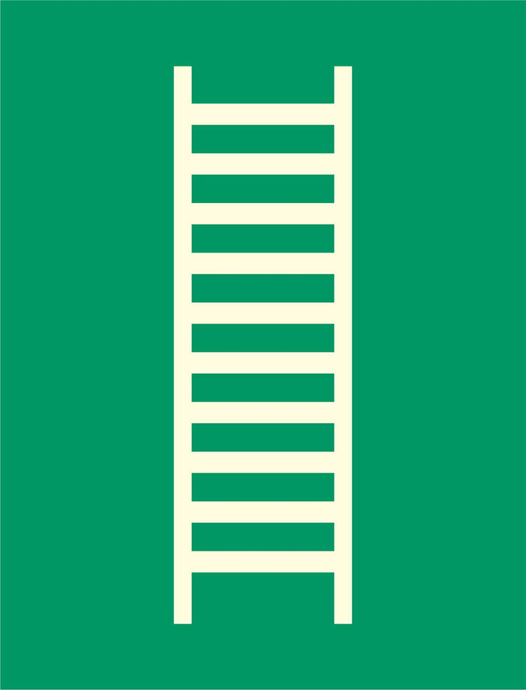 Emergency Ladder